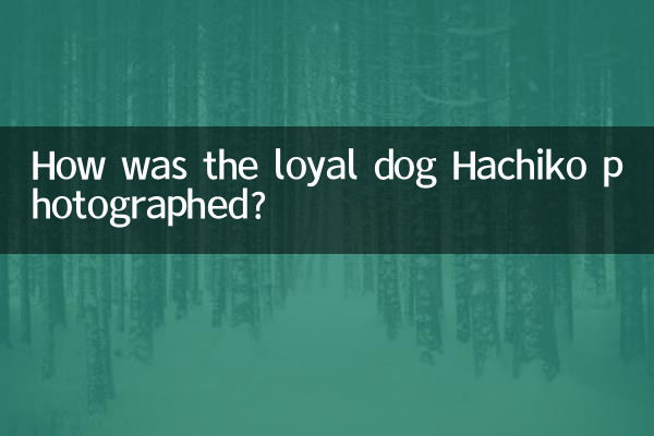 충견 하치코는 어떻게 촬영됐나요?