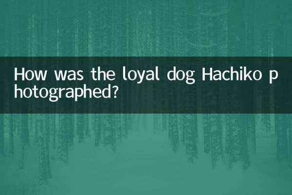 충견 하치코는 어떻게 촬영됐나요?