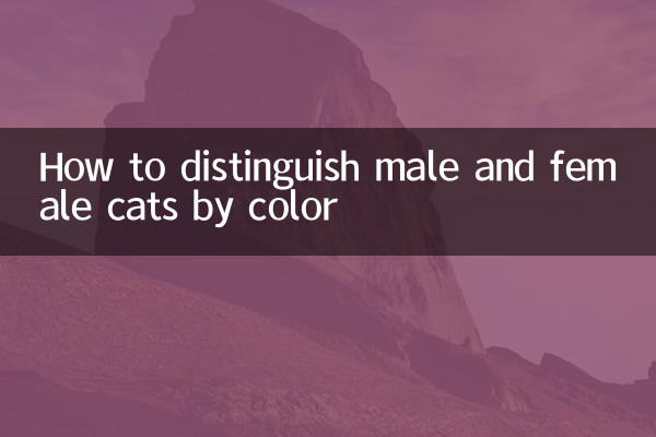 Как отличить котов мужского и женского пола по цвету