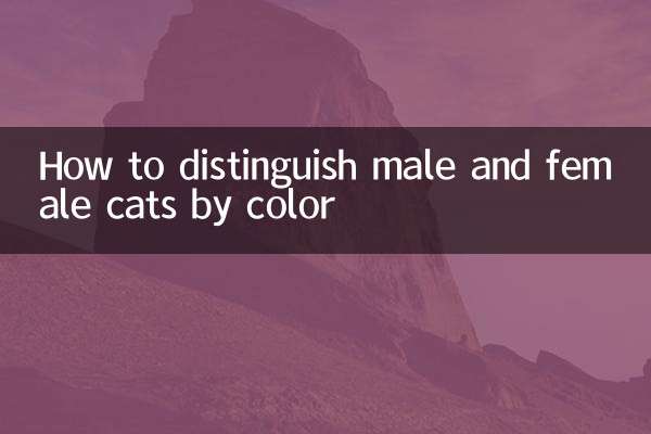 كيفية التمييز بين القطط الذكور والإناث من خلال اللون