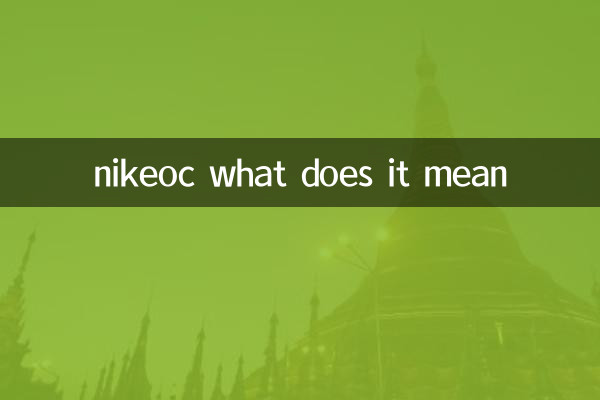 나이키크 그게 무슨 뜻이야?