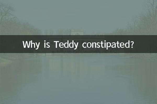 テディはなぜ便秘なのですか?