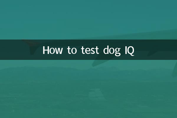 نحوه تست ضریب هوشی سگ