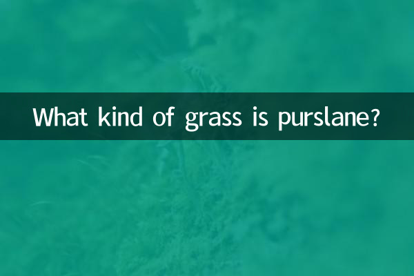 Che tipo di erba è la portulaca?