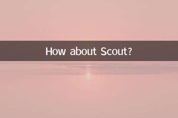 اسکاؤٹ کے بارے میں کیا خیال ہے؟