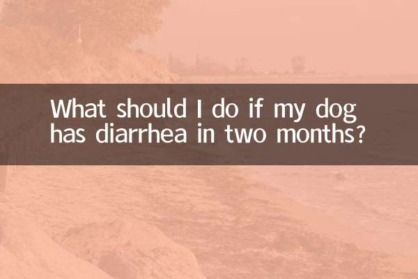 দুই মাসের মধ্যে আমার কুকুরের ডায়রিয়া হলে আমার কী করা উচিত?