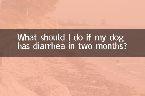 দুই মাসের মধ্যে আমার কুকুরের ডায়রিয়া হলে আমার কী করা উচিত?
