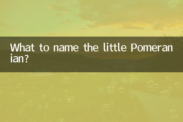 What to name the little Pomeranian?