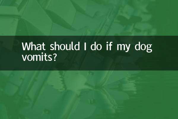 यदि मेरा कुत्ता उल्टी कर दे तो मुझे क्या करना चाहिए?
