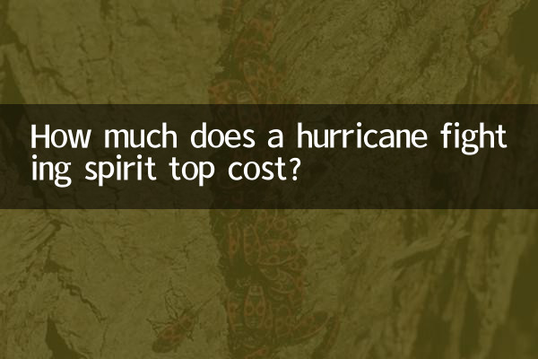 How much does a hurricane fighting spirit top cost?
