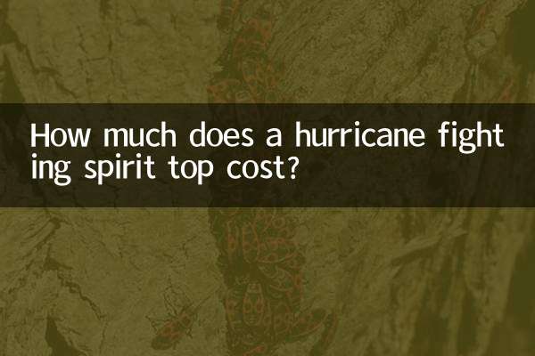 قیمت تاپ مبارزه با طوفان چقدر است؟