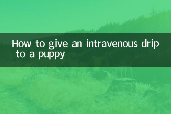 एक पिल्ले को अंतःशिरा ड्रिप कैसे दें