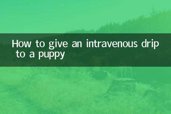 نحوه دادن قطره وریدی به توله سگ