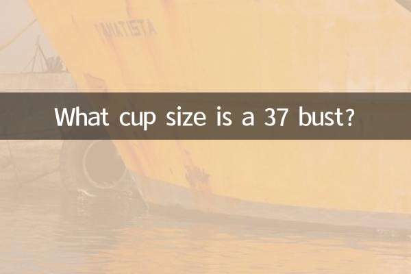 Che taglia di coppa ha un busto 37?