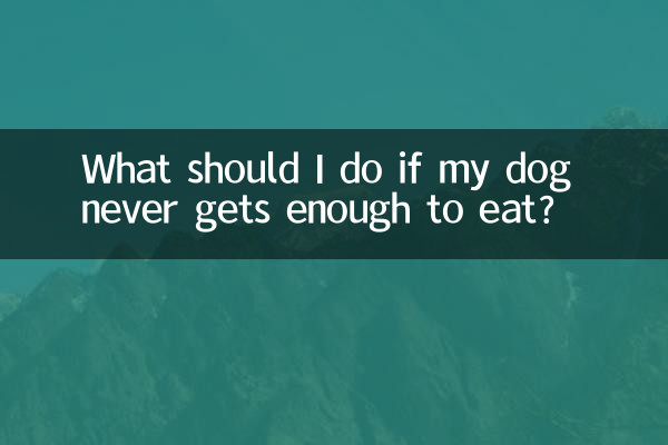 اگر سگ من هرگز به اندازه کافی غذا نخورد چه باید بکنم؟