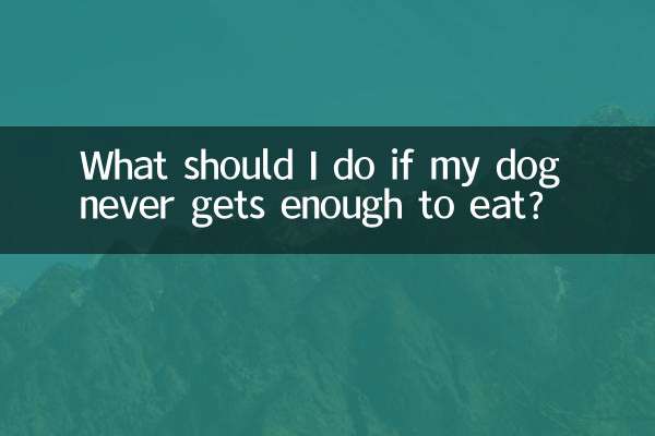 اگر سگ من هرگز به اندازه کافی غذا نخورد چه باید بکنم؟