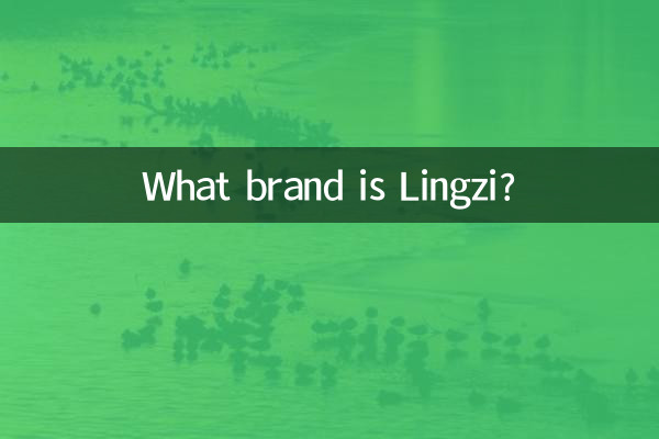 Что за бренд Lingzi?