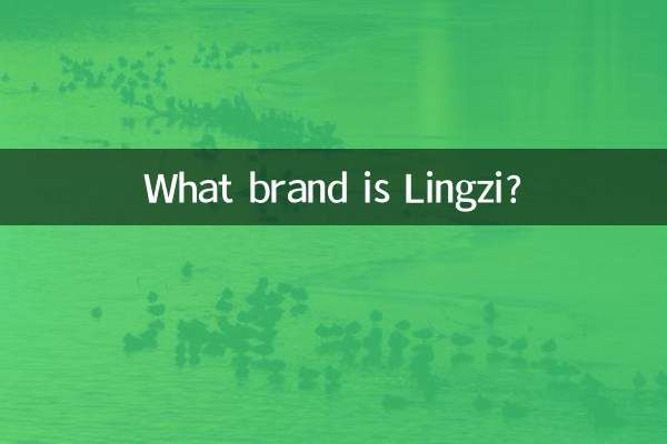 Qual marca é Lingzi?