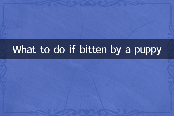 O que fazer se for mordido por um cachorrinho