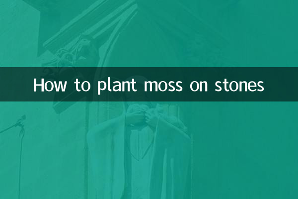 কিভাবে পাথরের উপর শ্যাওলা লাগানো যায়