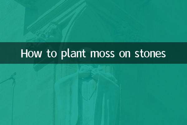 কিভাবে পাথরের উপর শ্যাওলা লাগানো যায়