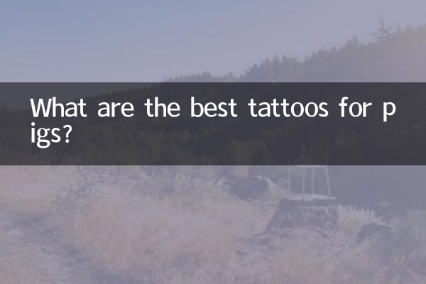 Какие татуировки для свиней самые лучшие?