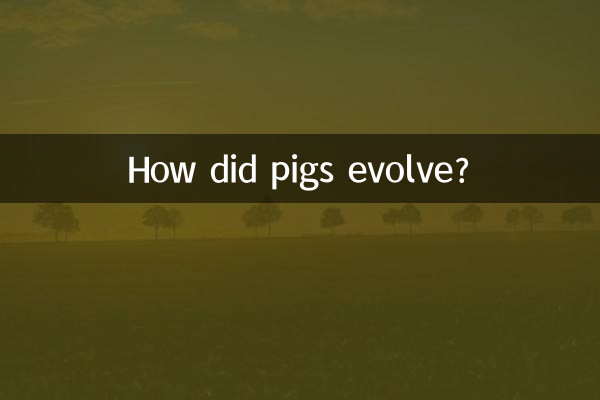 豬是怎麼進化的
