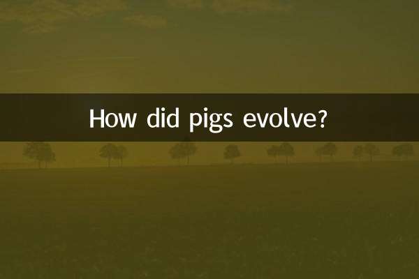 豚はどのように進化したのでしょうか？