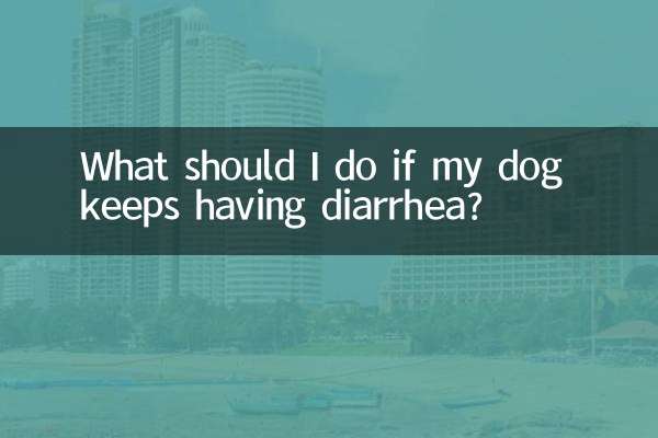 यदि मेरे कुत्ते को दस्त होते रहें तो मुझे क्या करना चाहिए?