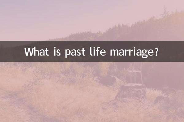 전생의 결혼이란 무엇입니까?