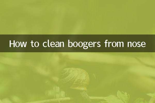 코에 묻은 코를 청소하는 방법