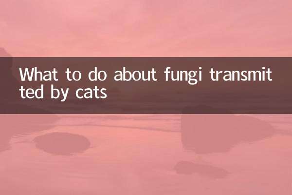 Que faire contre les champignons transmis par les chats