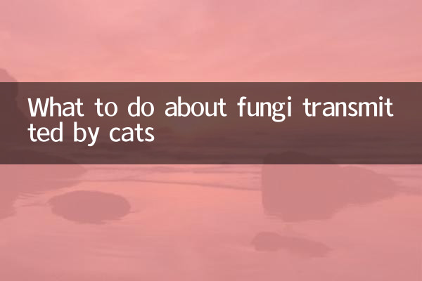 Que faire contre les champignons transmis par les chats