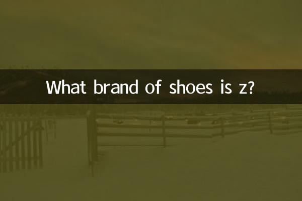 ما هي ماركة الأحذية z؟