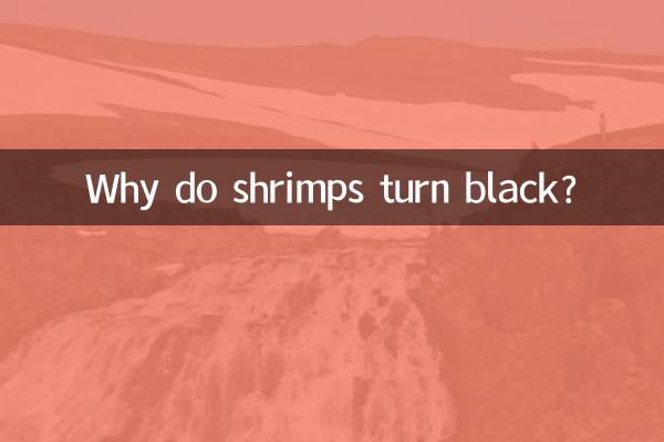 Warum werden Garnelen schwarz?