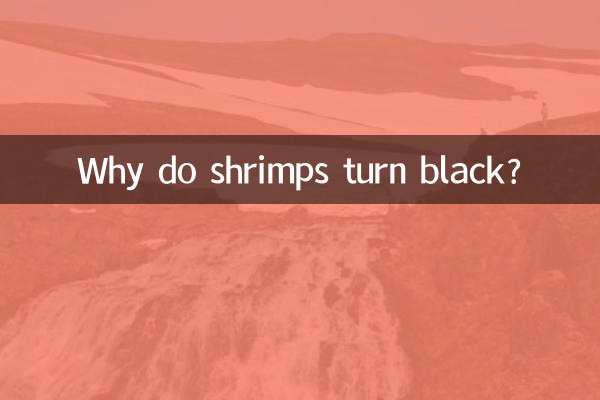 Pourquoi les crevettes deviennent-elles noires ?