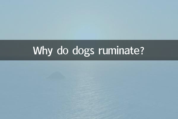 لماذا تجتر الكلاب؟