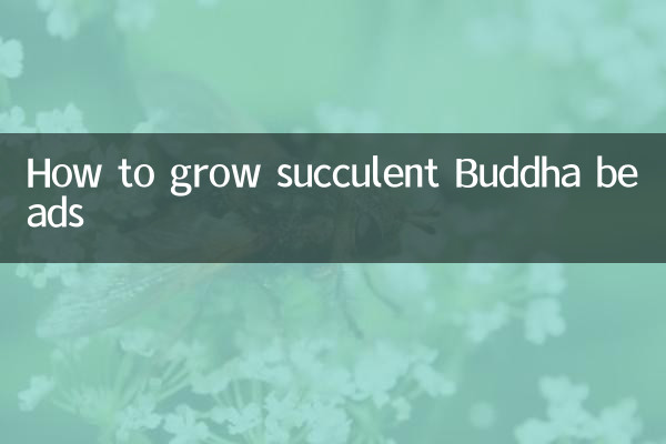 Como cultivar suculentas contas de Buda