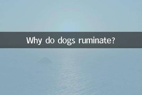 لماذا تجتر الكلاب؟