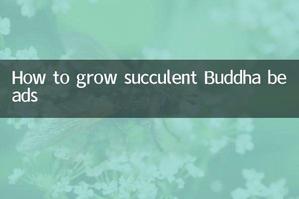 佛珠多肉怎麼種