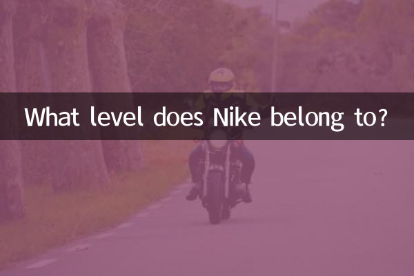 À quel niveau appartient Nike ?