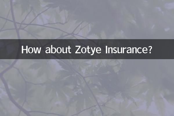 Zotye 보험은 어떻습니까?
