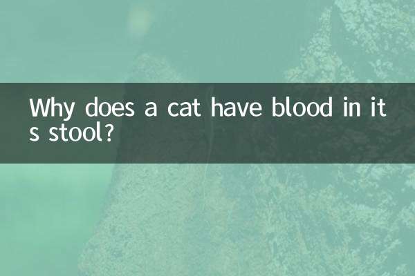 猫排便有血怎么回事