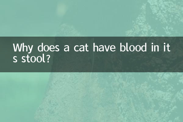 猫排便有血怎么回事