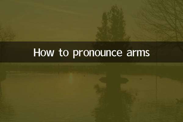 How to pronounce arms
