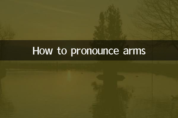How to pronounce arms