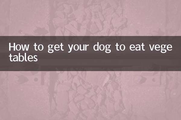 So bringen Sie Ihren Hund dazu, Gemüse zu fressen