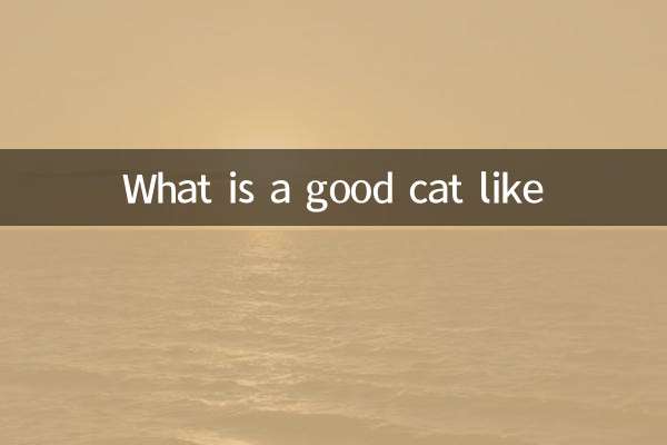 What is a good cat like