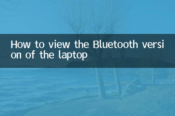 So sehen Sie die Bluetooth -Version des Laptops