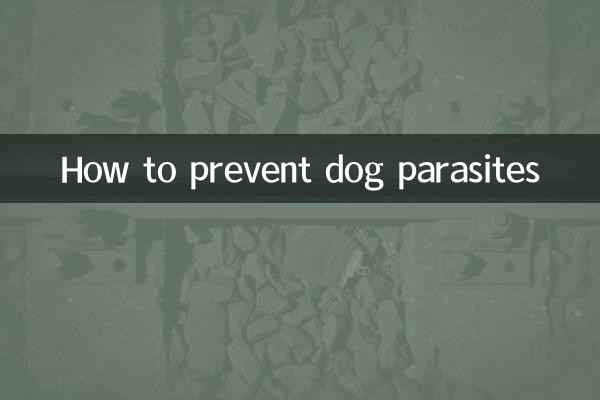 Cómo prevenir los parásitos del perro